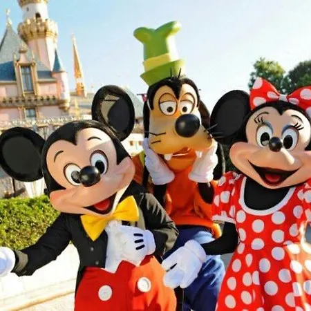 Dep3ndance De Chatme Proche Disney Et Paris